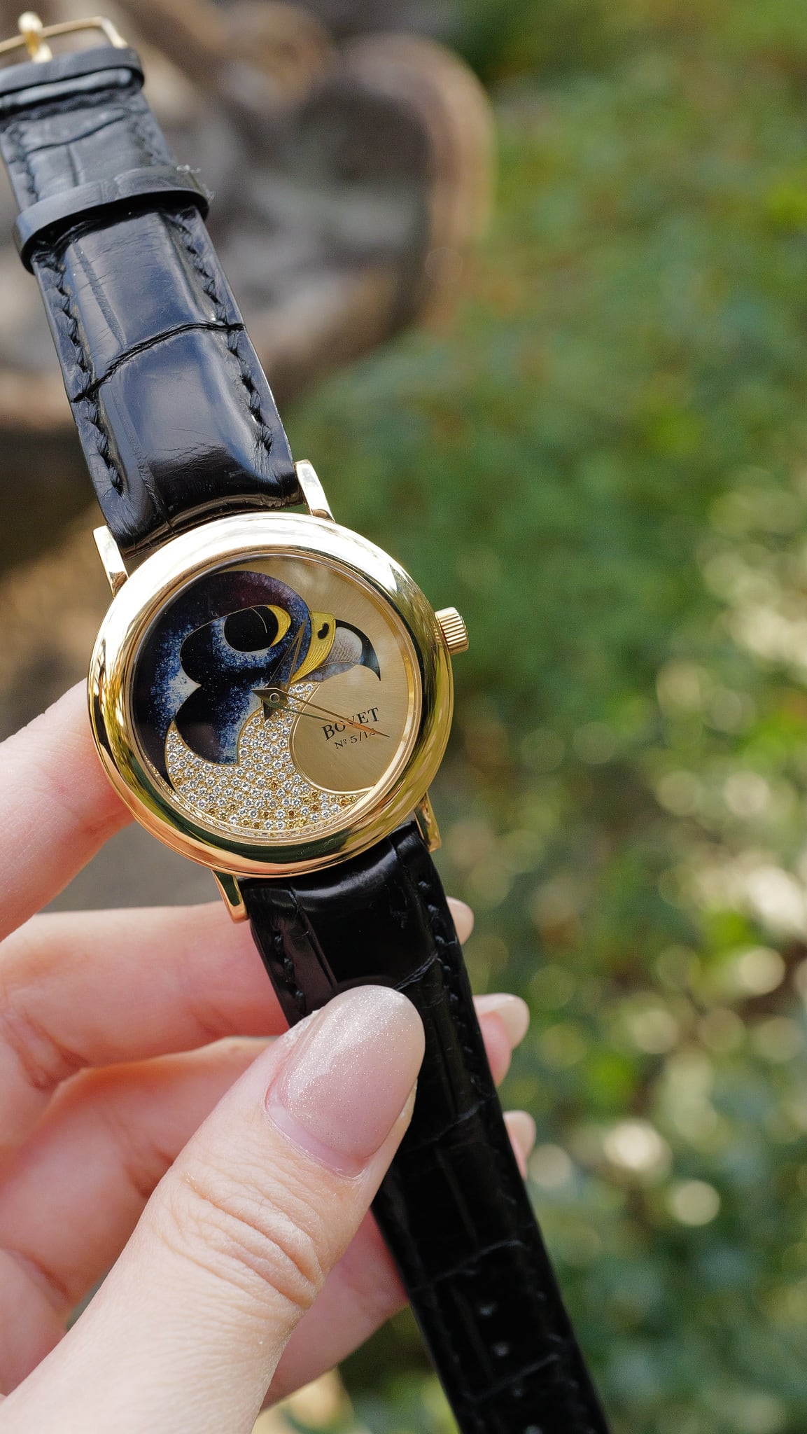 BOVET Le Faucon 世界12本限定 裏スケ オートマ