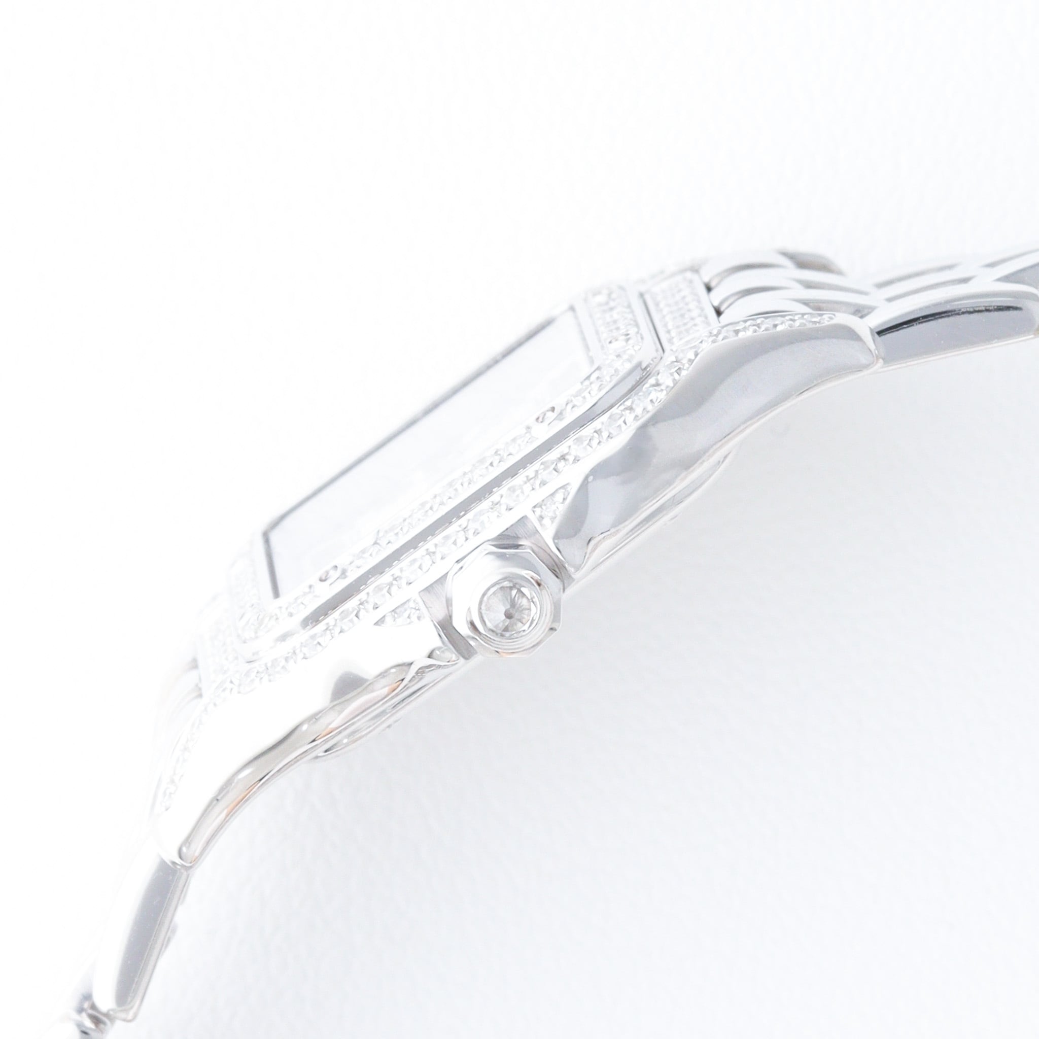 Panthere / SM / White gold diamond case / パンテール