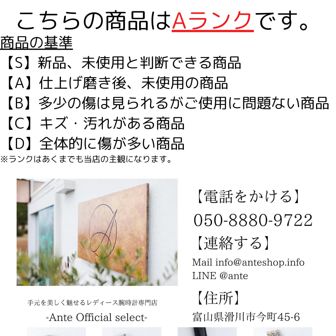 カルティエ ヴァンドーム SM 金無垢　ラグダイヤ  レザー